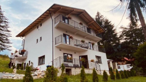 Casa dintre Brazi